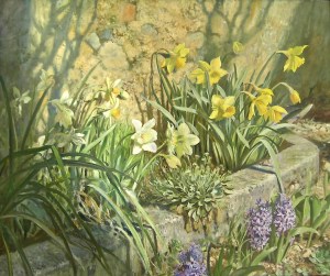 Narcisi in primavera