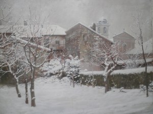 OLYMPUS DIGITAL CAMERA