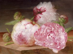 peonie